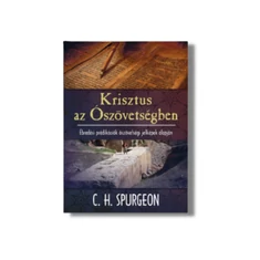 Bibliamagyarázatok, Bibliatanulmányok