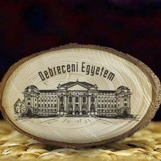 Fa hűtőmágnes - Debrecen