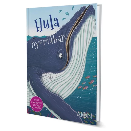 Hula nyomában