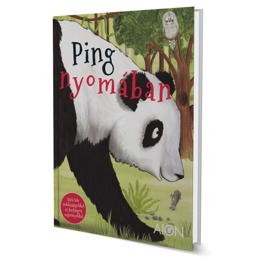  Ping nyomában