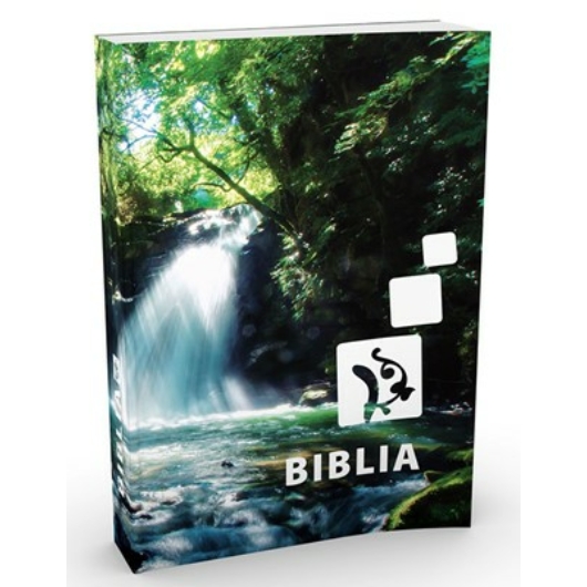 Biblia – Középméretű, kartonált kiállítású - Kifogyott!